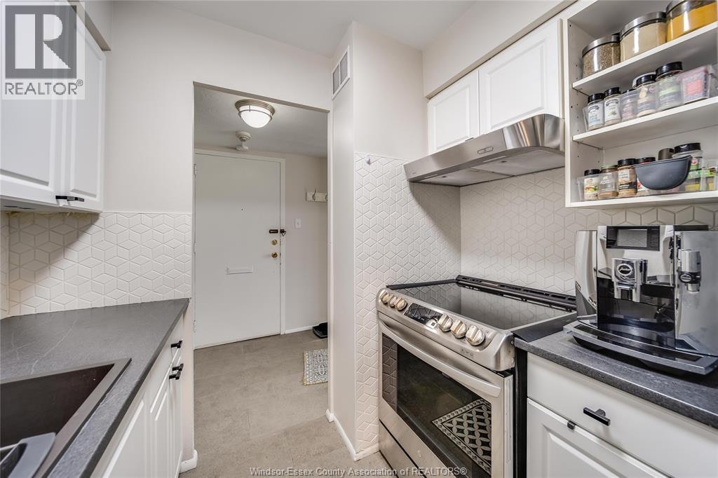 312-111 Riverside Drive, Windsor, ON, N9A 2S6 - 17
