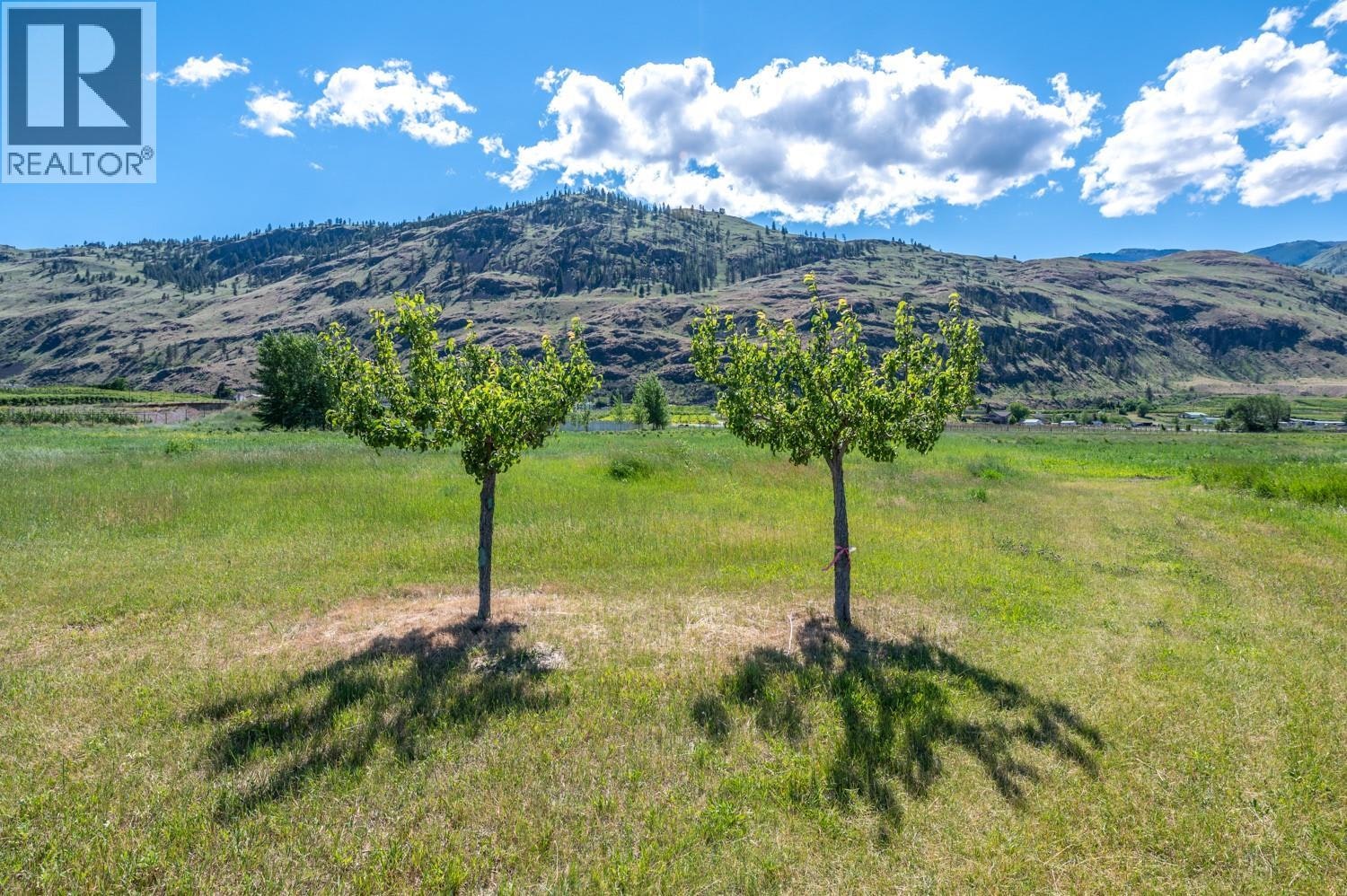 294 18 Road Road, Oliver, BC, V0H 1T1 - 41