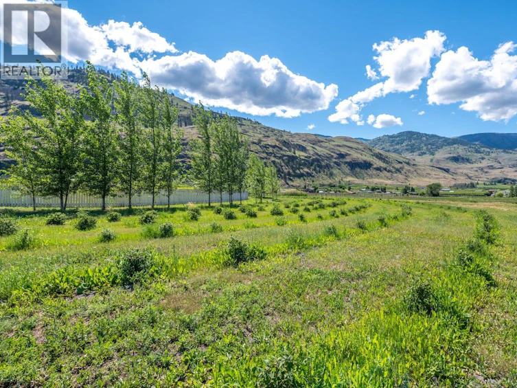 294 18 Road Road, Oliver, BC, V0H 1T1 - 35