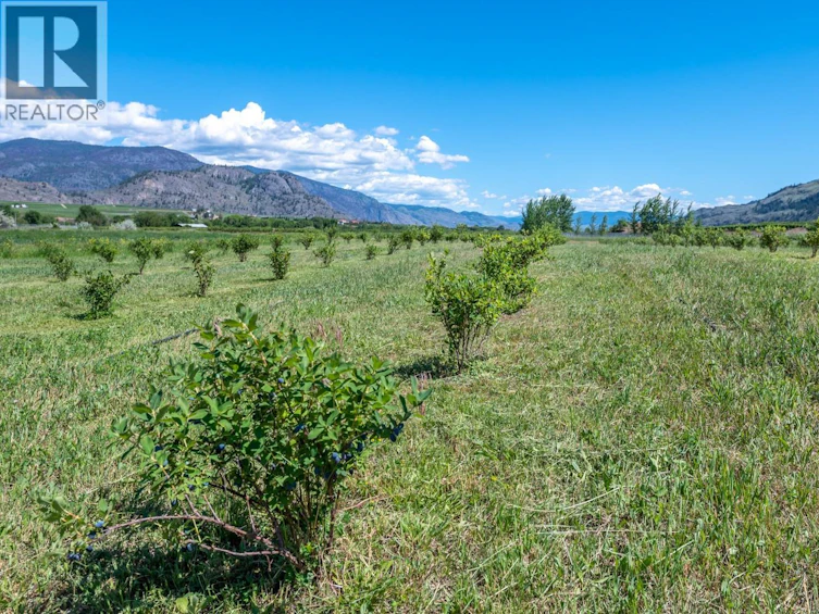 294 18 Road Road, Oliver, BC, V0H 1T1 - 32