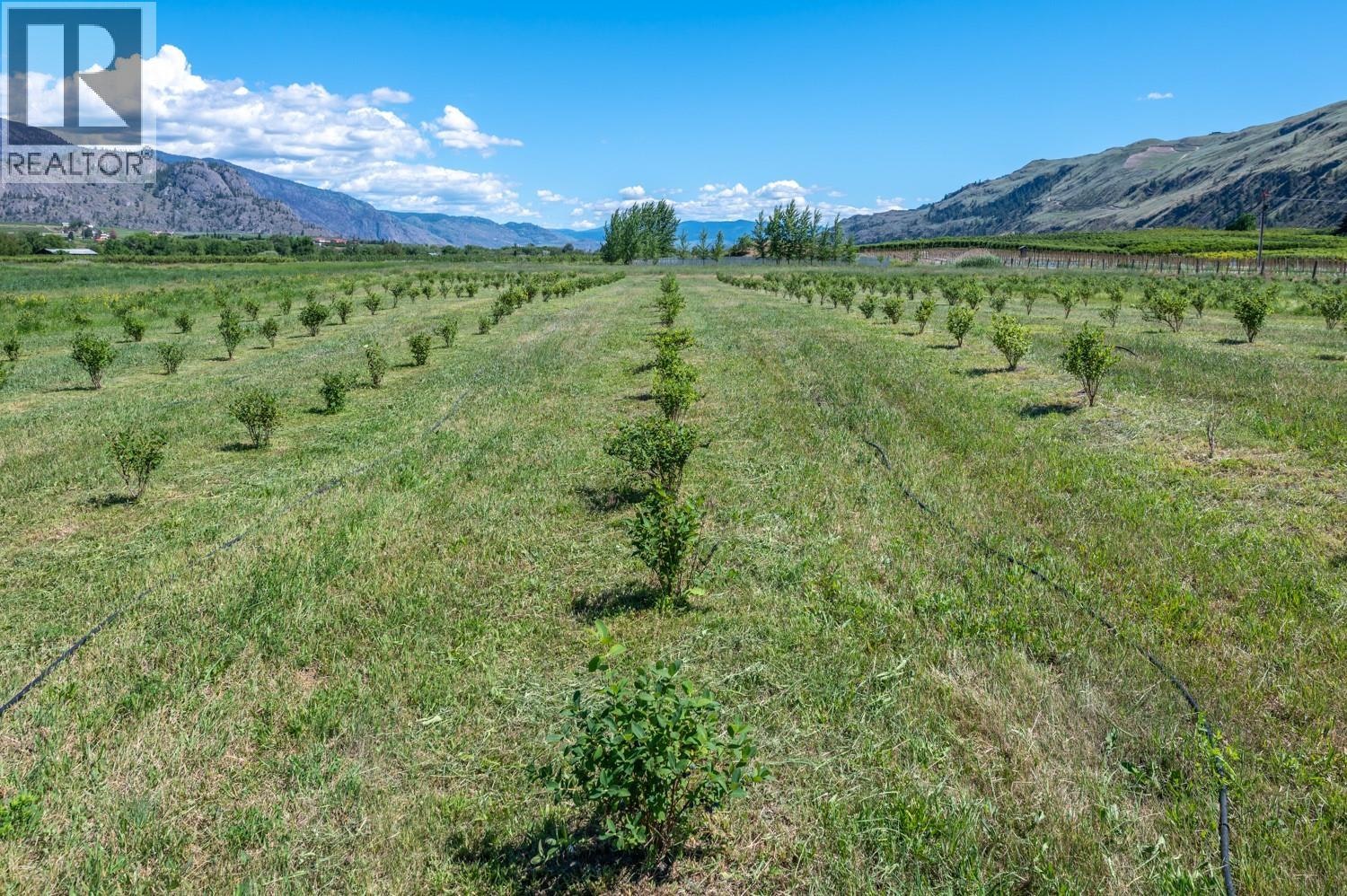 294 18 Road Road, Oliver, BC, V0H 1T1 - 34