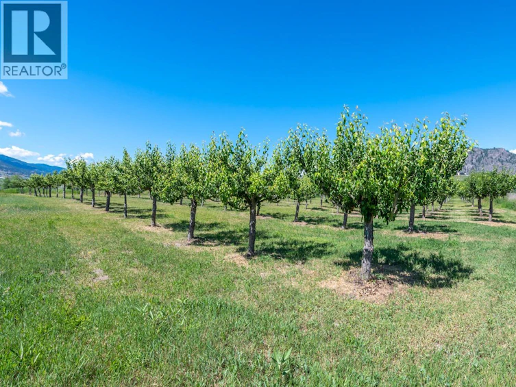 294 18 Road Road, Oliver, BC, V0H 1T1 - 36
