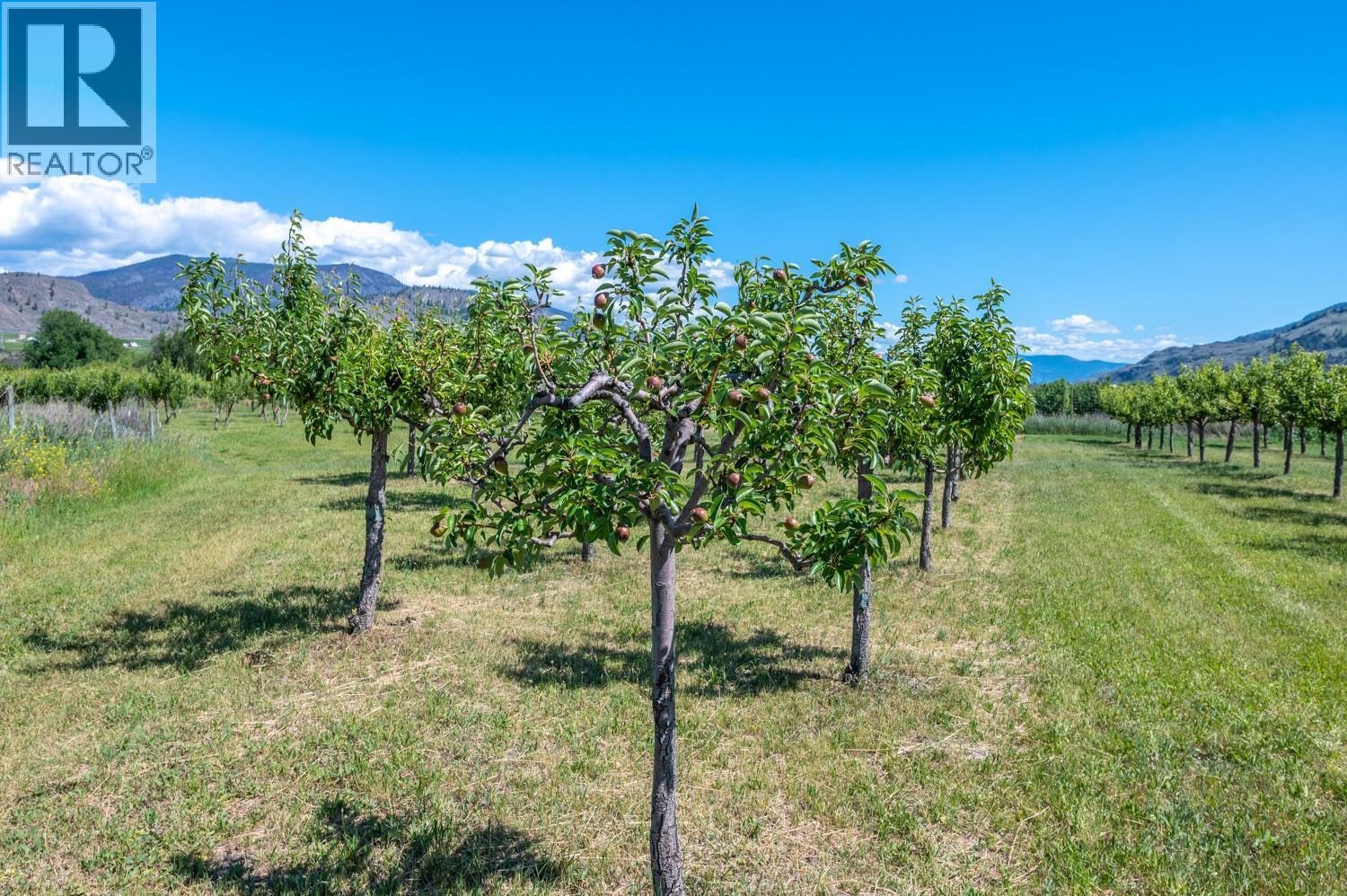 294 18 Road Road, Oliver, BC, V0H 1T1 - 39
