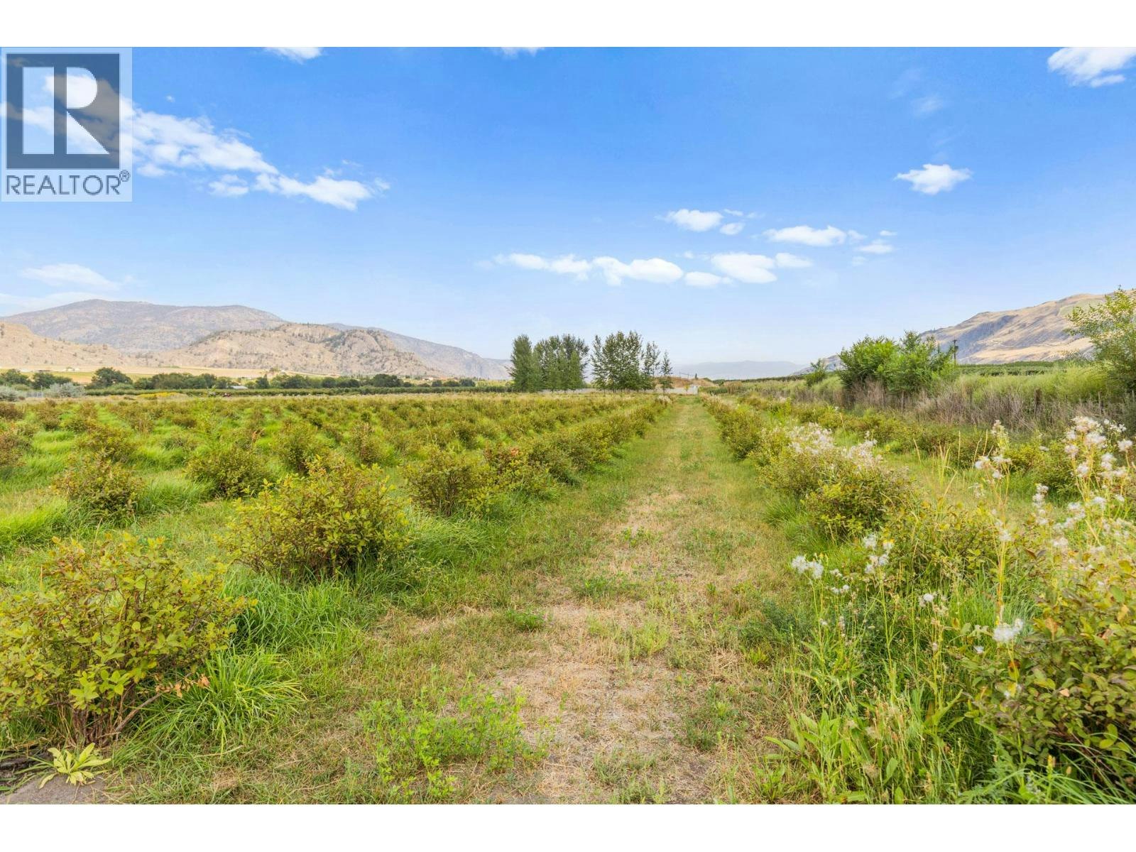 294 18 Road Road, Oliver, BC, V0H 1T1 - 51