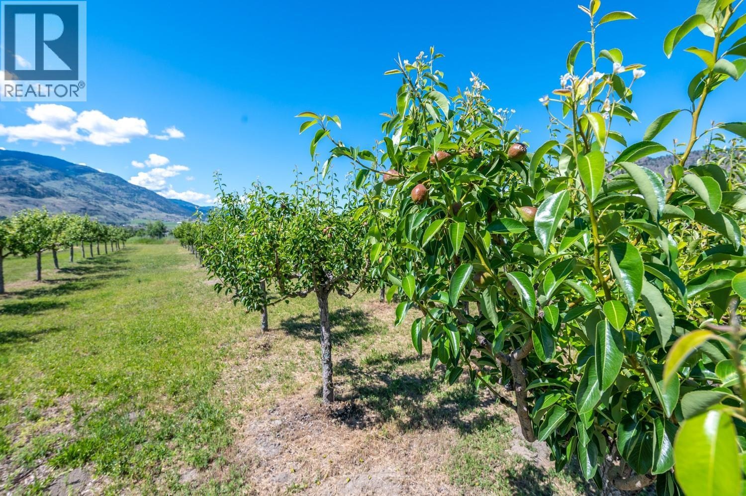 294 18 Road Road, Oliver, BC, V0H 1T1 - 37