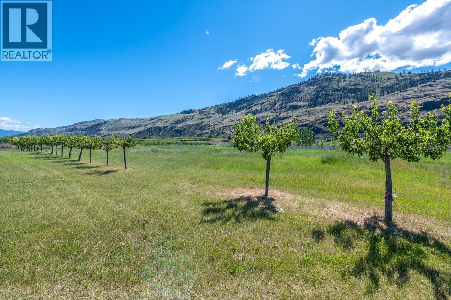 294 18 Road Road, Oliver, BC, V0H 1T1 - 40