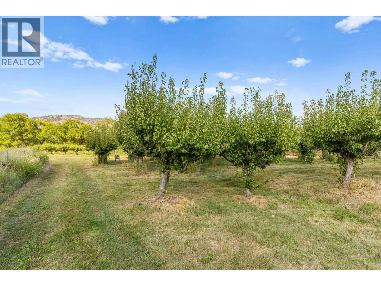 294 18 Road Road, Oliver, BC, V0H 1T1 - 66