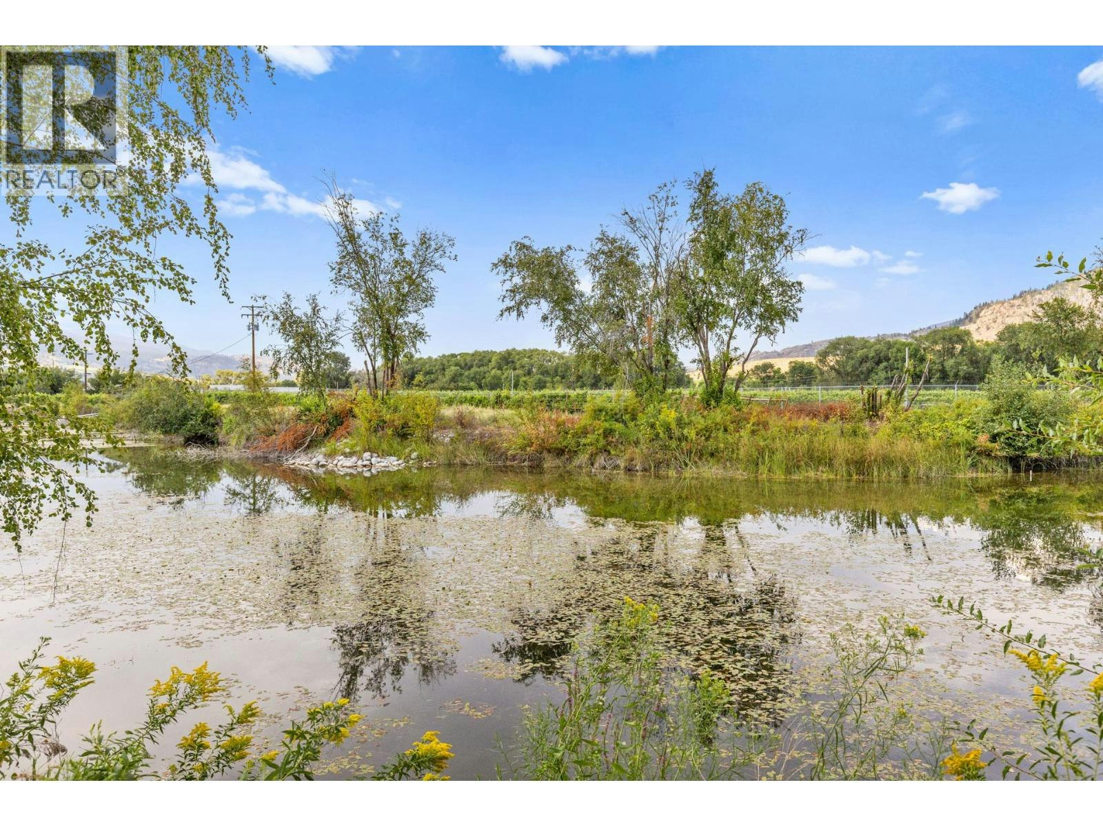 294 18 Road Road, Oliver, BC, V0H 1T1 - 54