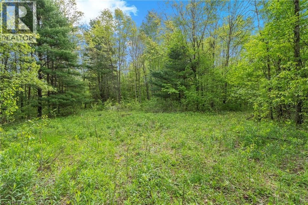 372 24 Highway, Brant, ON, N3T 5L5