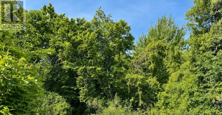 1341 Aldersbrook Road, London, ON, N6G 3J1 - 26