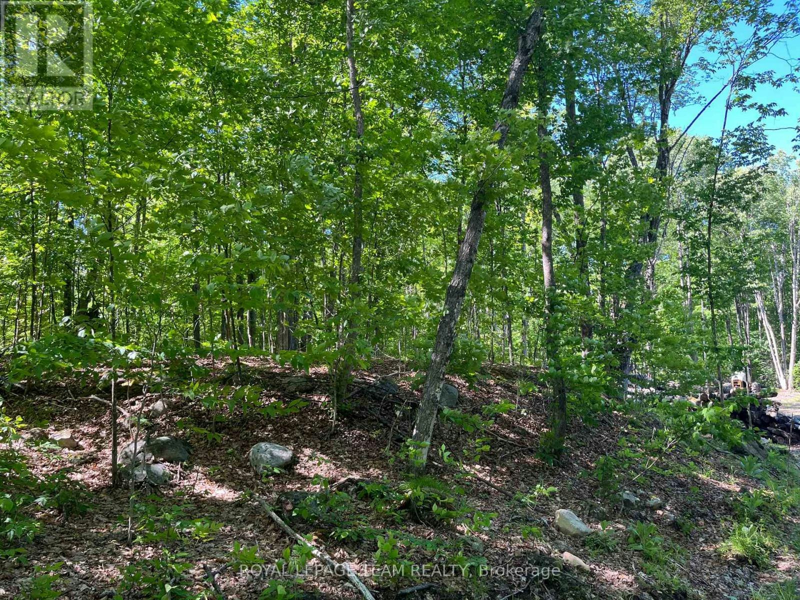 01 Siberia Road, Madawaska Valley, ON, K0J 1B0