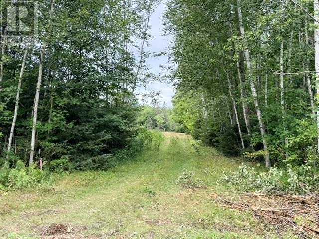3 River Drive, Blind River, ON, P0R 1B0