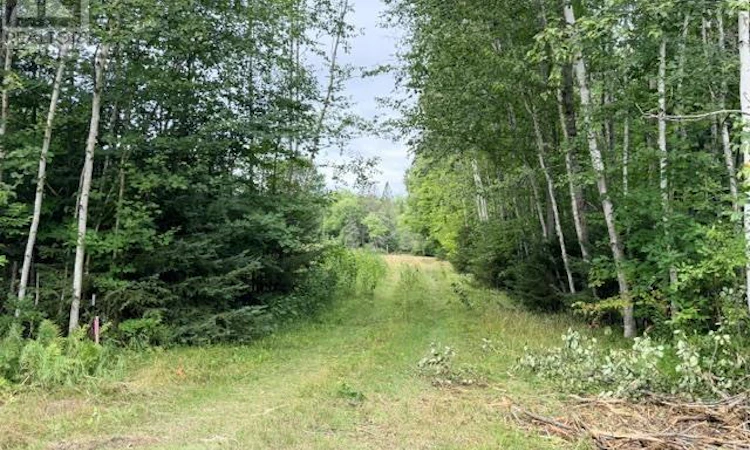 3 River Drive