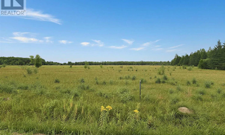 BERGLAND Cemetery Road