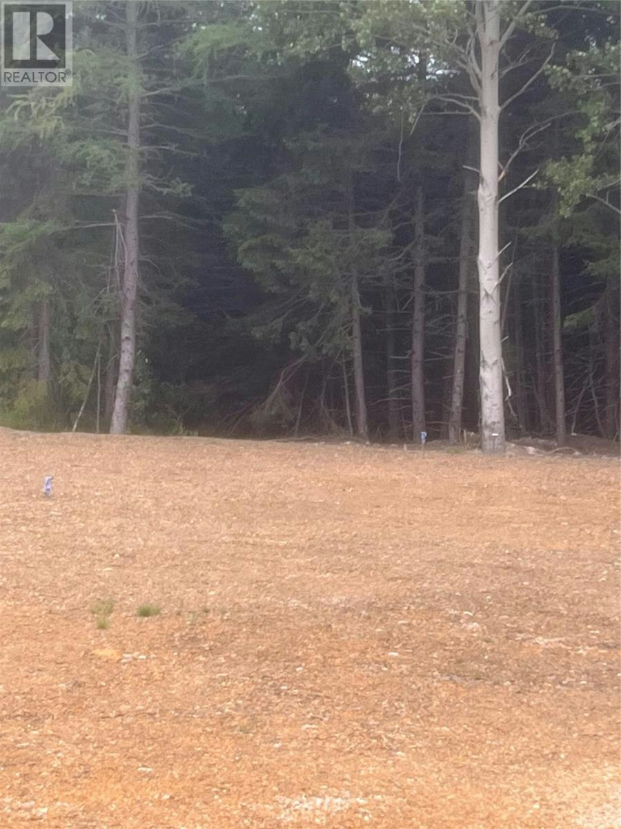 0 Ralph's Road, Glovertown, NL, A0G 2L0