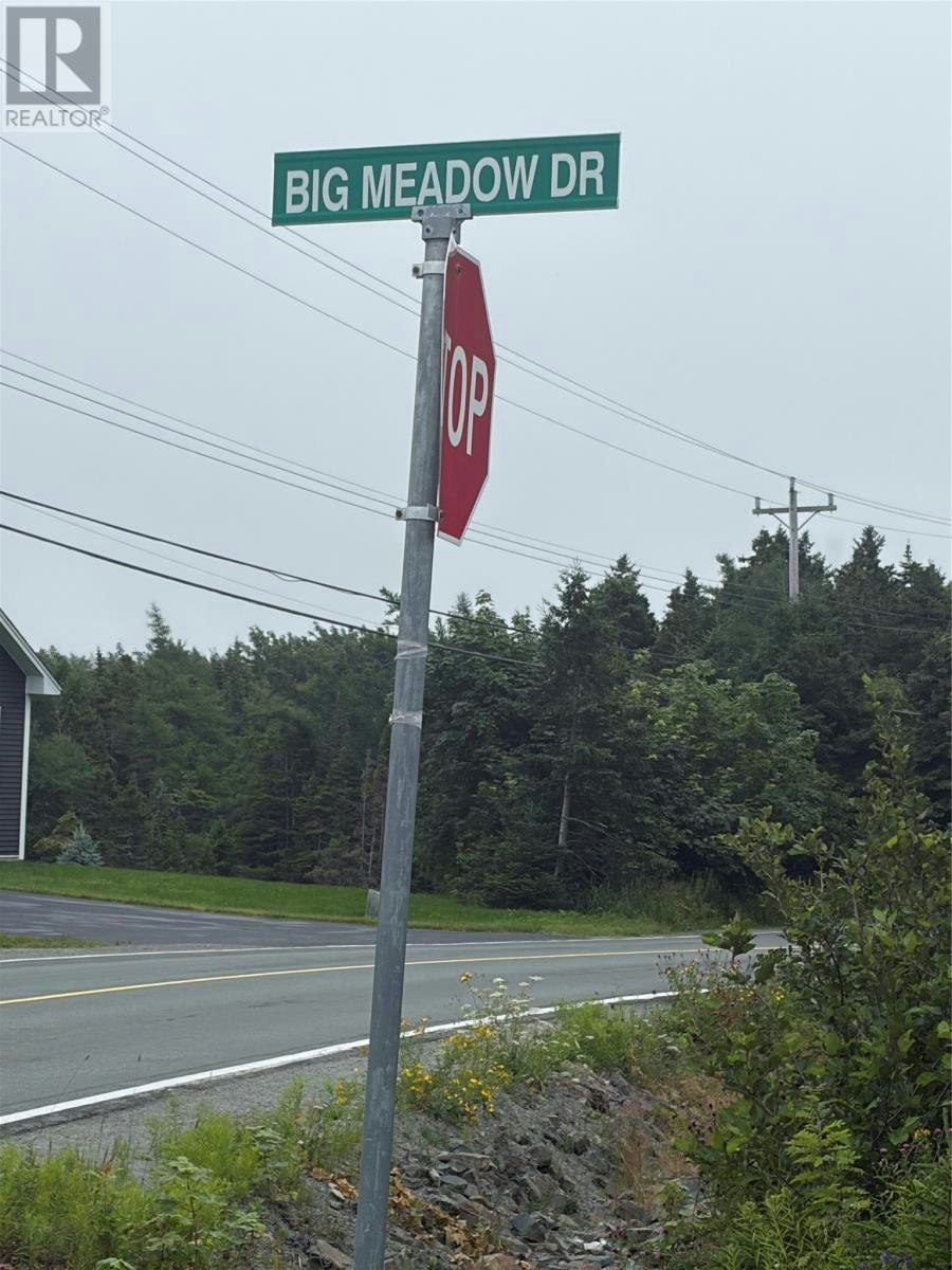 54 Big Meadow Drive, Logy Bay-Middle Cove-Outer Cove, NL, A1K 0N1
