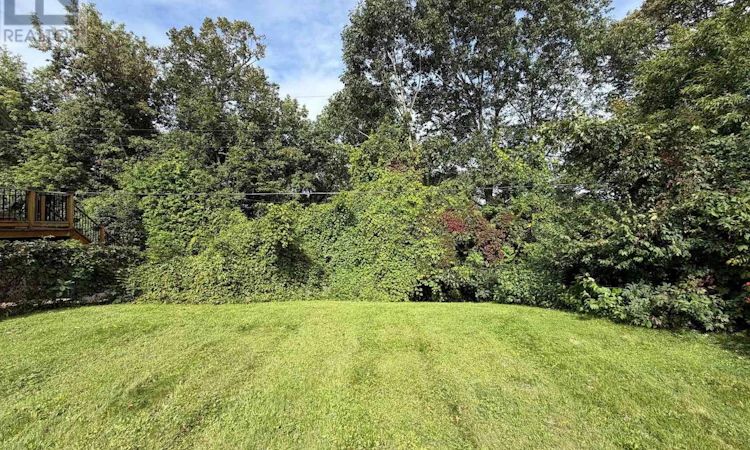 95 Dorothea Drive