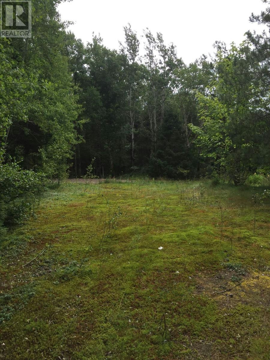 17 Leggetter's Lane, Eastport, NL, A0G 1Z0