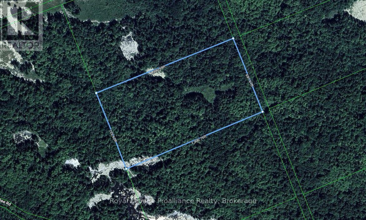 PT LT-11 Con 14, Addington Highlands, ON, K0K 1K0