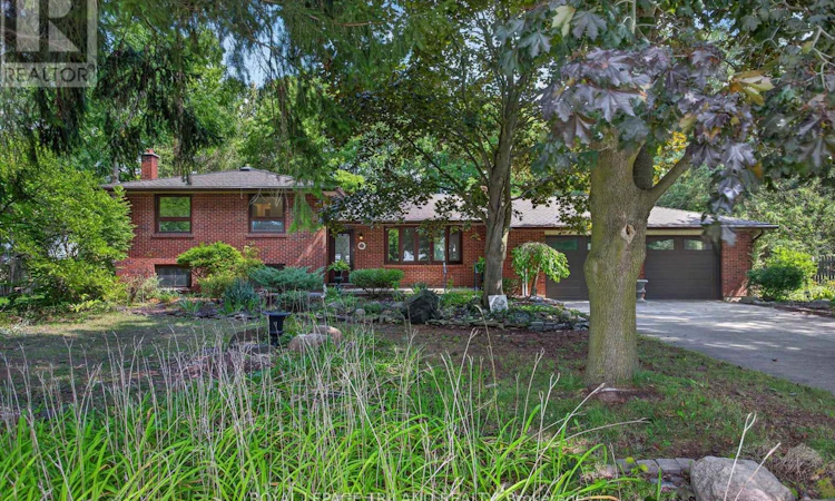 115 Springer Street
