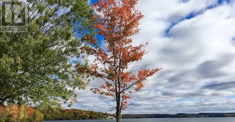2-101 Tree Tops Lane, Huntsville, ON, P1H 1A9 - 23