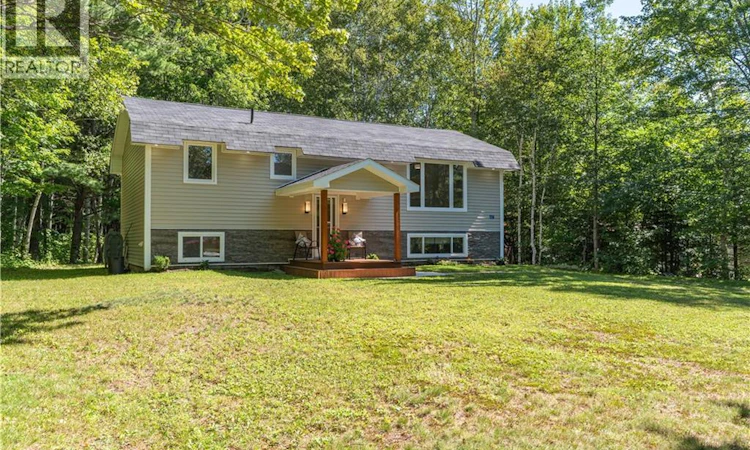 67 Moorefield Road