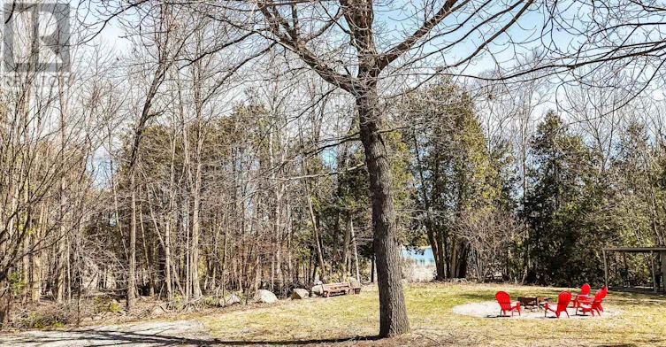 2619 Buckhorn Road, Smith-Ennismore-Lakefield, ON, K0L 2H0 - 8