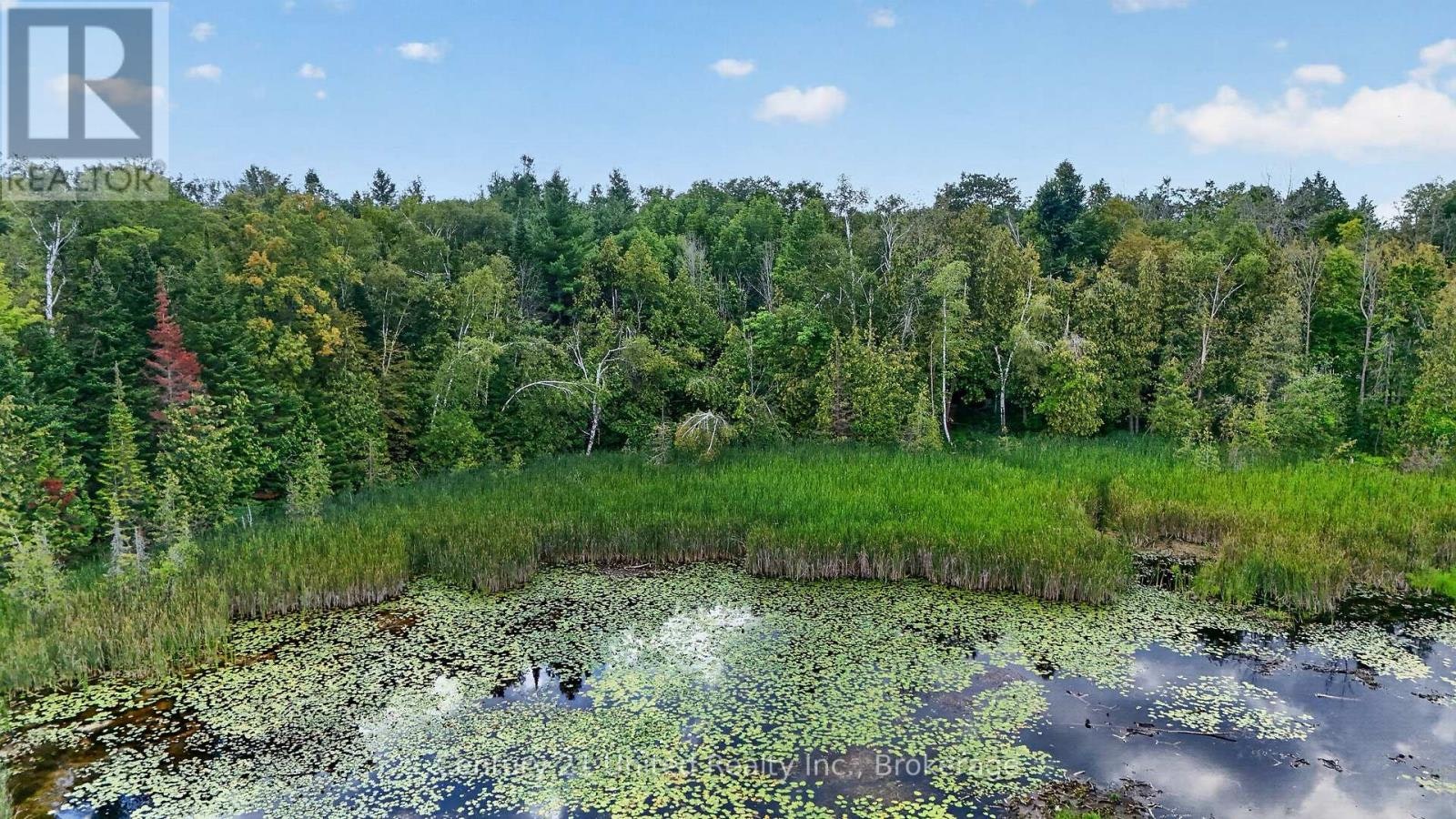 2619 Buckhorn Road, Smith-Ennismore-Lakefield, ON, K0L 2H0 - 47