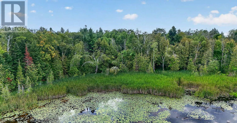 2619 Buckhorn Road, Smith-Ennismore-Lakefield, ON, K0L 2H0 - 47