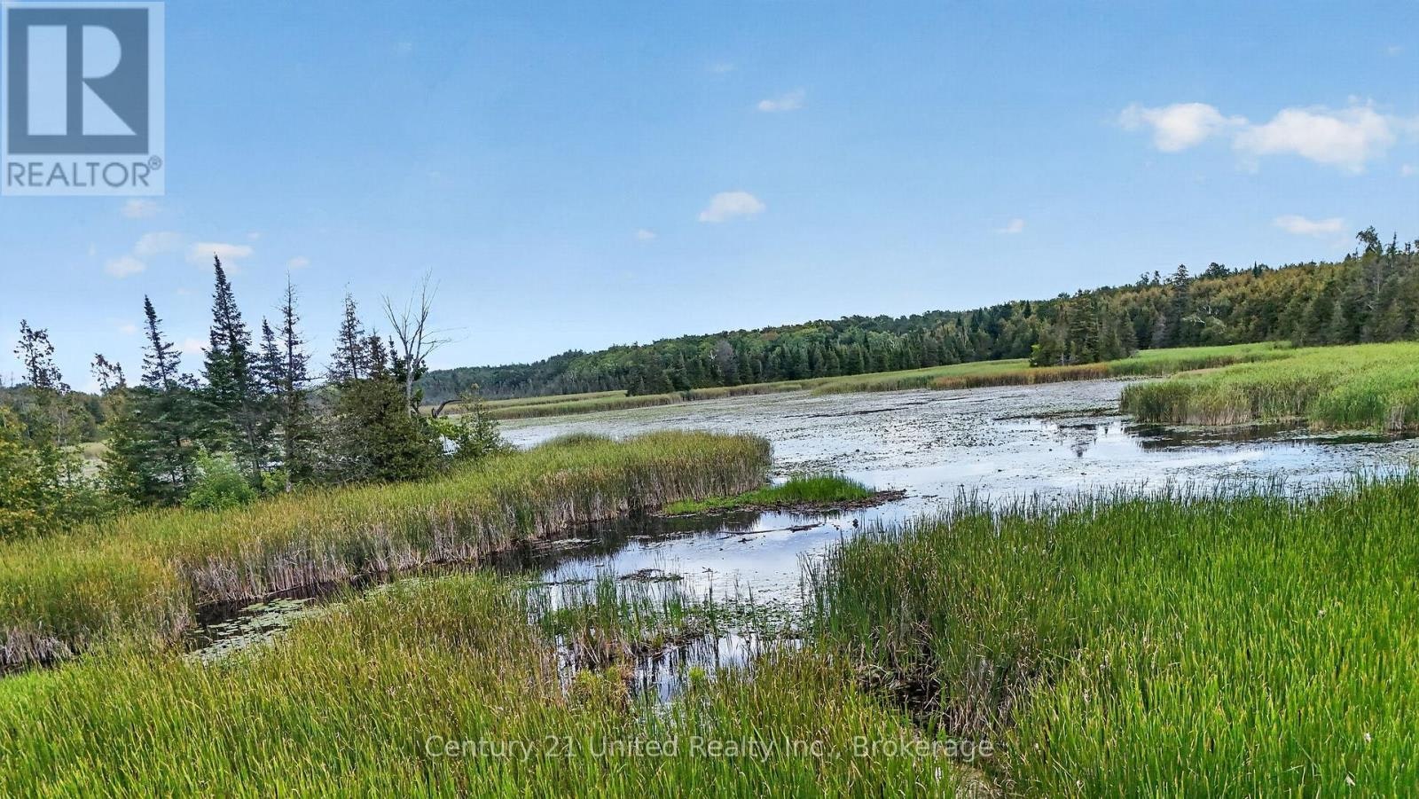 2619 Buckhorn Road, Smith-Ennismore-Lakefield, ON, K0L 2H0 - 50