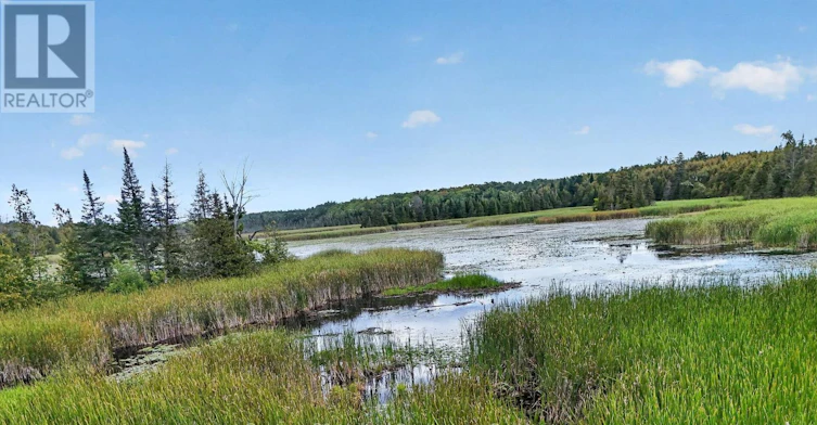 2619 Buckhorn Road, Smith-Ennismore-Lakefield, ON, K0L 2H0 - 50
