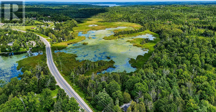 2619 Buckhorn Road, Smith-Ennismore-Lakefield, ON, K0L 2H0 - 36
