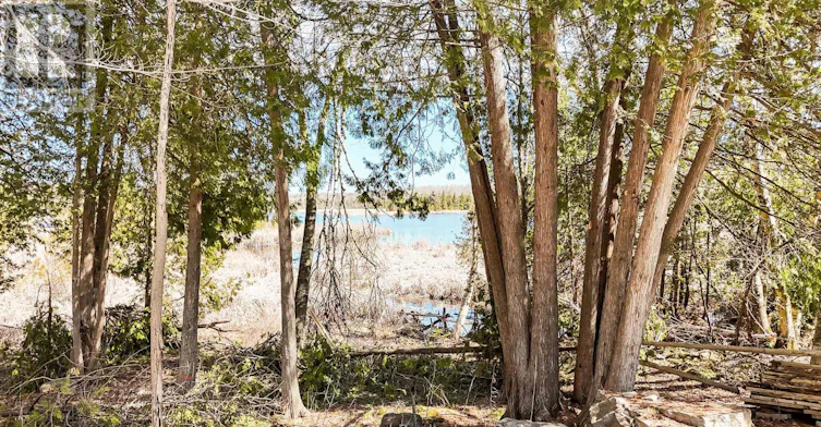 2619 Buckhorn Road, Smith-Ennismore-Lakefield, ON, K0L 2H0 - 9