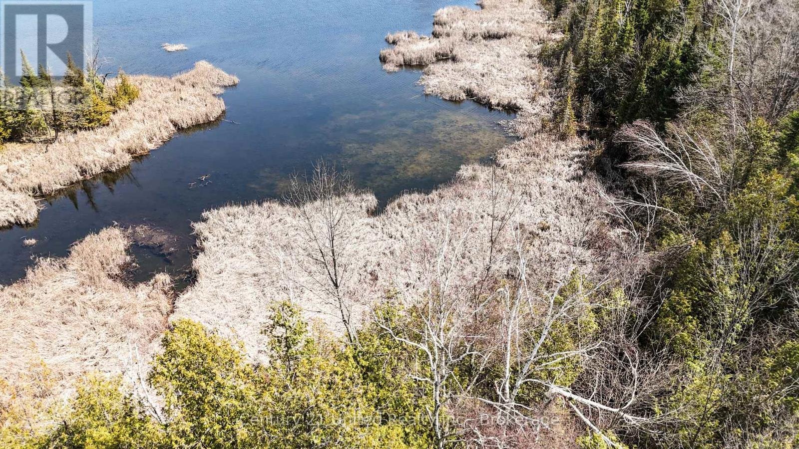 2619 Buckhorn Road, Smith-Ennismore-Lakefield, ON, K0L 2H0 - 34