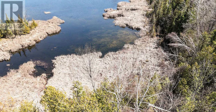 2619 Buckhorn Road, Smith-Ennismore-Lakefield, ON, K0L 2H0 - 34