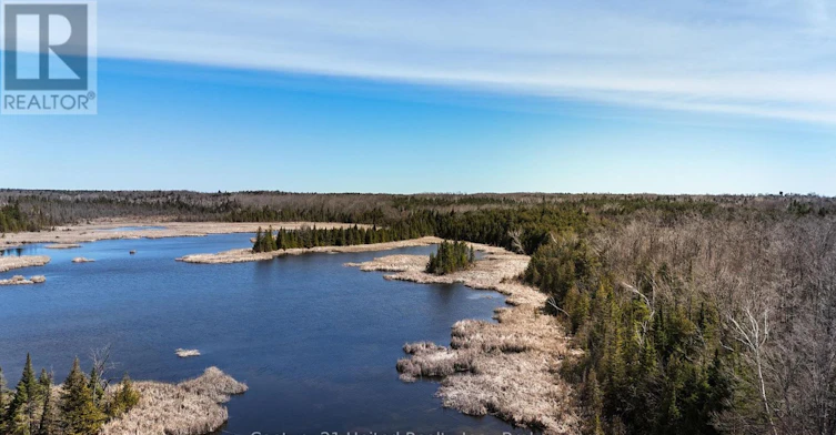 2619 Buckhorn Road, Smith-Ennismore-Lakefield, ON, K0L 2H0 - 35