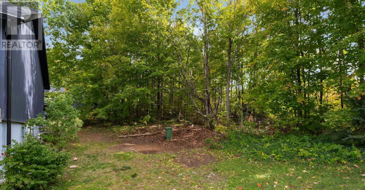 15 Birch Grove Drive, Oro-Medonte, ON, L4M 4Y8 - 43