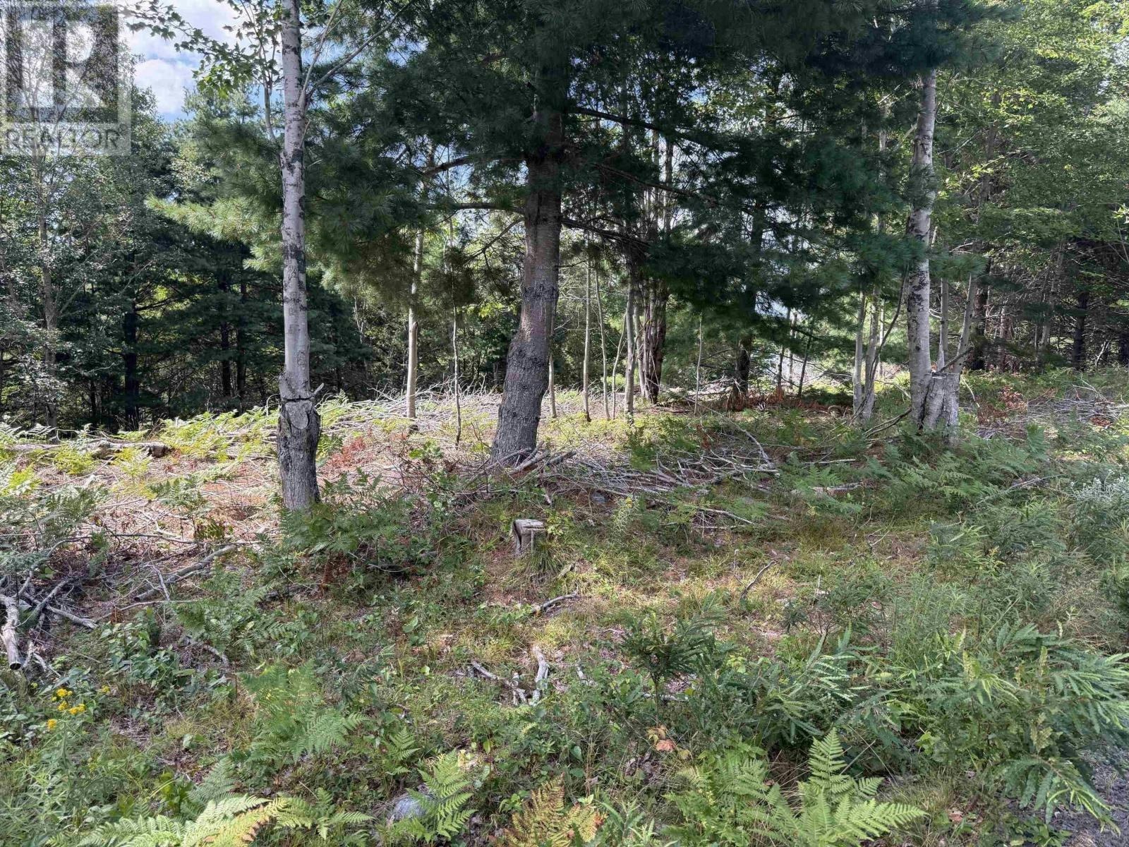 Lot-109 Clifford Road East, East Clifford, NS, B4V 1Y7