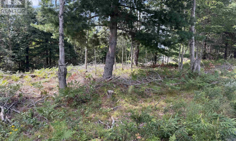 Lot-109 Clifford Road East