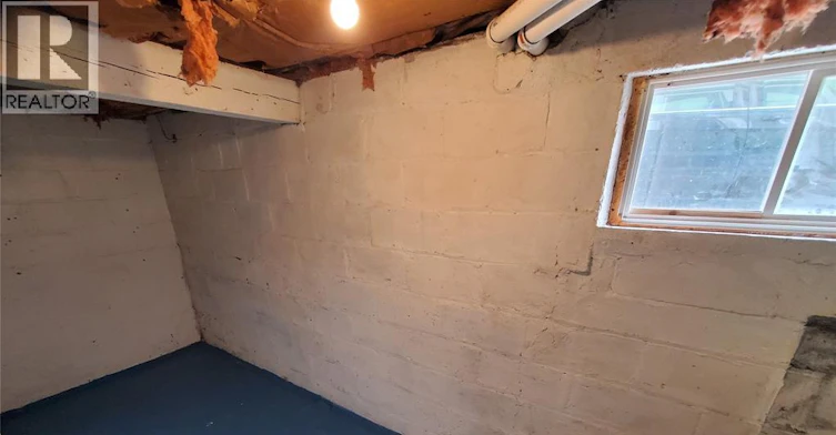 BSMT-725 Church Street, Windsor, ON, N9A 4T5 - 11