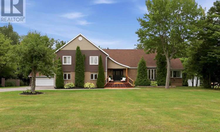 86 Palomino Drive