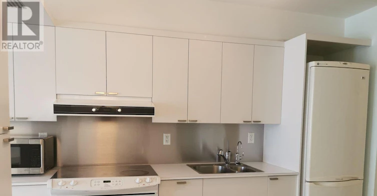 930-111 Elizabeth Street, Toronto, ON, M5G 1P7