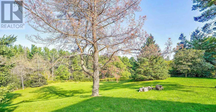 95 Cavell Avenue, King, ON, L7B 1A3 - 28