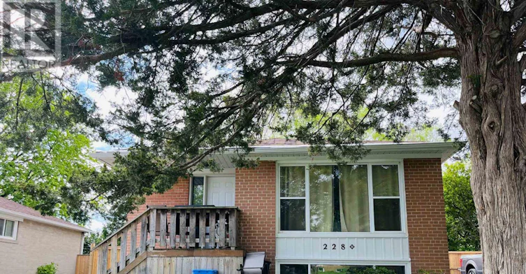 LOWER-228 Silverbirch Drive, Newmarket, ON, L3Y 2Z5 - 11