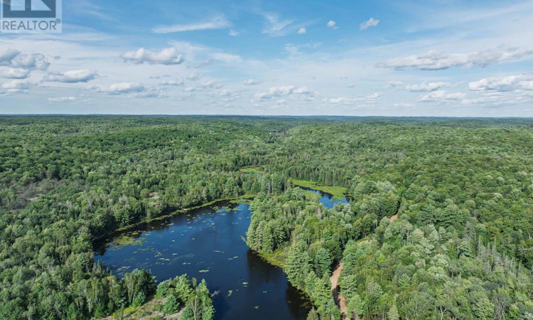 1241 Koshlong Lake Road