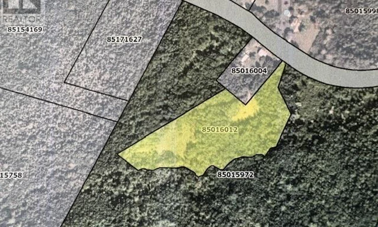 Old Margaree Road