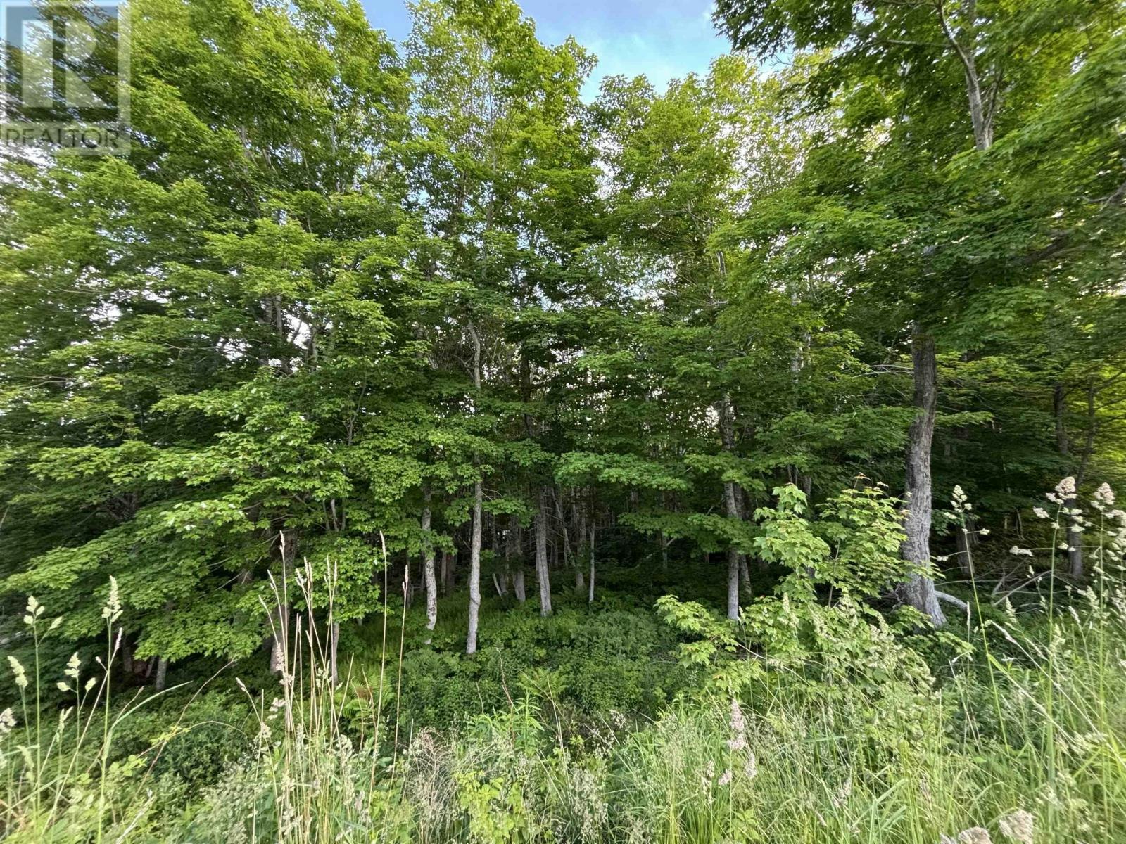 25 Parkland Place, Dalem Lake, NS, B1Y 2X9