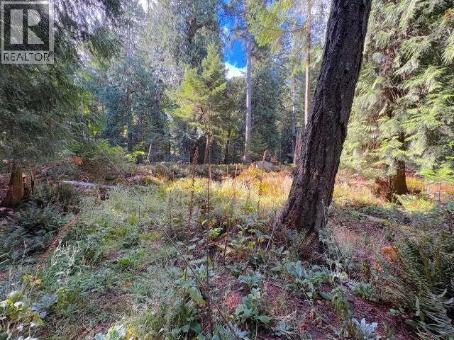 1384 Vancouver Boulevard, Savary Island, BC