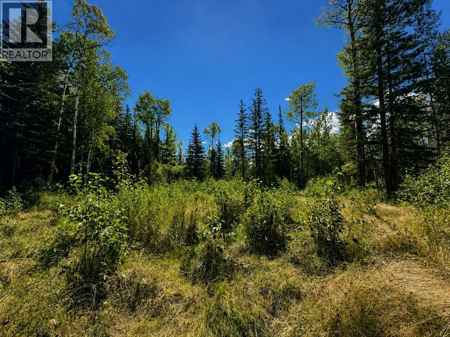 LOT-5 Airport Road, McBride, BC, V0J 2E0