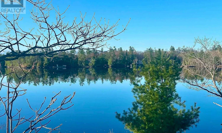 RIVERSIDE 36-1336 Morrison Lake Road S
